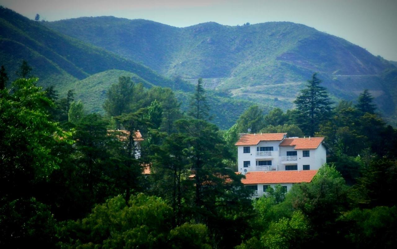 Las Ardillas Cabanas Y Suites 라 팔다 외부 사진